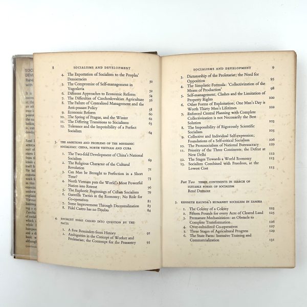 SOCIALISMS AND DEVELOPMENT - Image 7