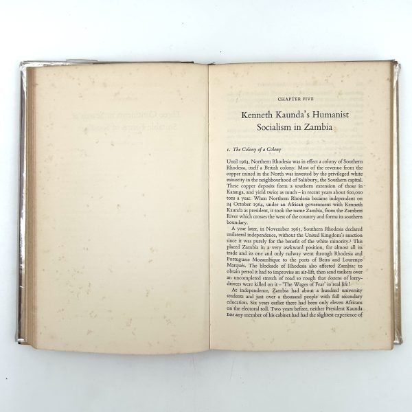 SOCIALISMS AND DEVELOPMENT - Image 10