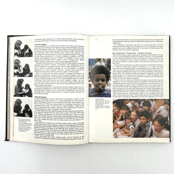 MINDWATCHING - Image 9