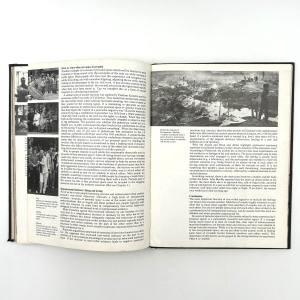 MINDWATCHING - Image 12