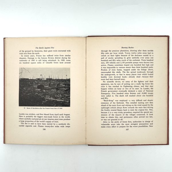 THE BATTLE AGAINST FIRE - Image 13